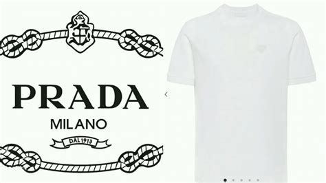 prada plain white t shirt